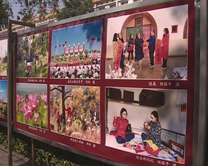 滚动的圆球无敌版